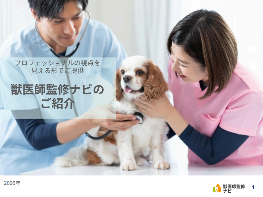 【2026年最新】コスト面でも効率的！信頼性の向上に抜群の「獣医師監修ナビ」サービスガイド