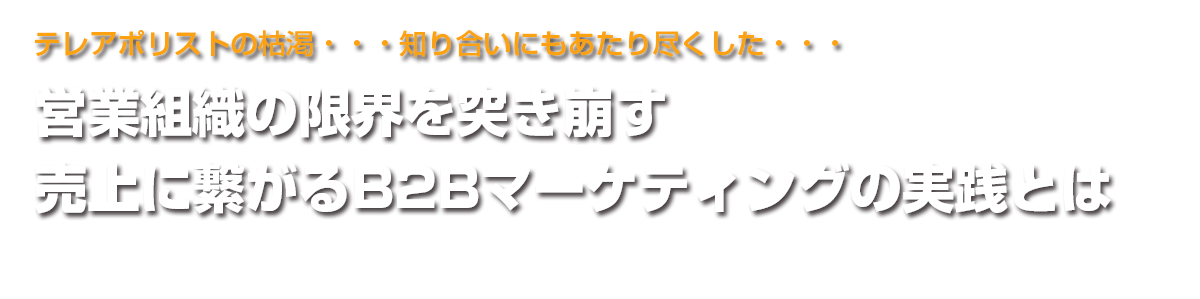 営業組織の限界を突き崩す 売上に繋がるB2Bマーケティングの実践とは