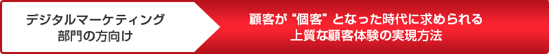 デジタルマーケティング部門の方向け 顧客が“個客”となった時代に求められる上質な顧客体験の実現方法